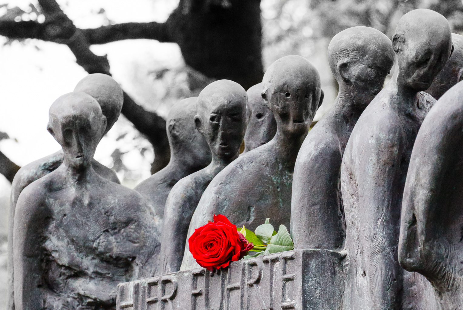 Denkmal mit Rose  Dachau Bayern Deutschland by Peter Ehlert in Gedenkfeier zur Befreiung des KZ Dachau (2015)