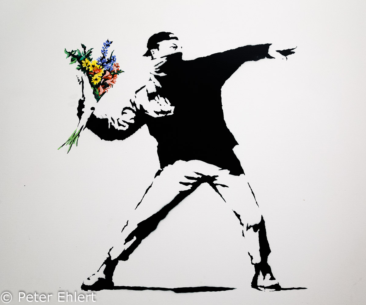 Love is in the air (Flower thrower)  Amsterdam Noord-Holland Niederlande by Peter Ehlert in Banksy und Salvador Dali Ausstellung