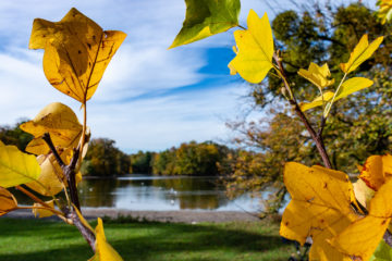 Badenburger See  München Bayern Deutschland by Peter Ehlert in MUC-Nyphenburg