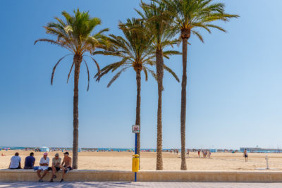 Promenade mit Palmen  Valencia Provinz Valencia Spanien by Peter Ehlert in Valencia_canbanyal_strand