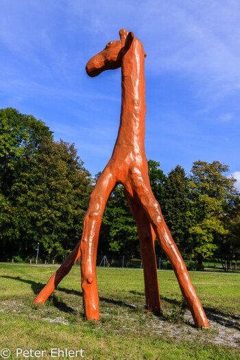 Giraffen aus Baumstämmen  Bernried Bayern Deutschland by Peter Ehlert in Buchheim Museum der Phantasie