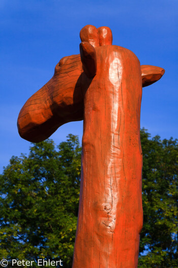 Giraffen aus Baumstämmen  Bernried Bayern Deutschland by Peter Ehlert in Buchheim Museum der Phantasie