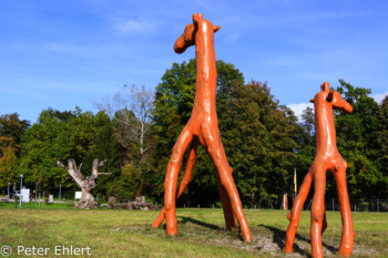 Giraffen aus Baumstämmen  Bernried Bayern Deutschland by Peter Ehlert in Buchheim Museum der Phantasie