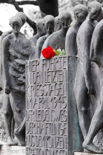 Denkmal mit Rose  Dachau Bayern Deutschland by Peter Ehlert in Gedenkfeier zur Befreiung des KZ Dachau (2015)