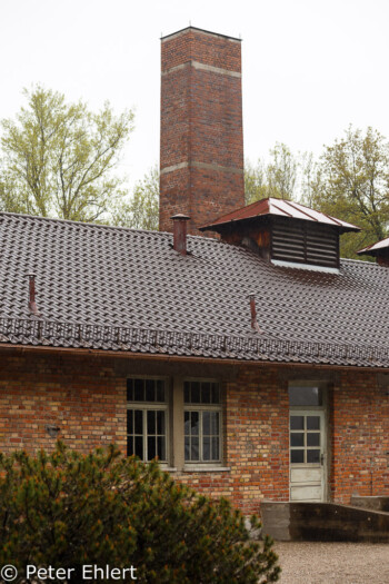 Altes Krematorium  Dachau Bayern Deutschland by Peter Ehlert in Gedenkfeier zur Befreiung des KZ Dachau (2015)