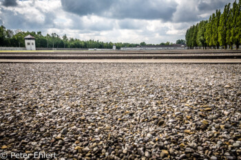 Barackenfeld  Dachau Bayern Deutschland by Peter Ehlert in Nie wieder - plus jamais - never again