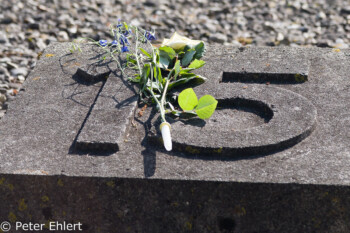 Block 15  Dachau Bayern Deutschland by Peter Ehlert in Nie wieder - plus jamais - never again