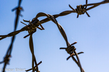 Stacheldrahtzaun und Lampe  Dachau Bayern Deutschland by Peter Ehlert in Nie wieder - plus jamais - never again