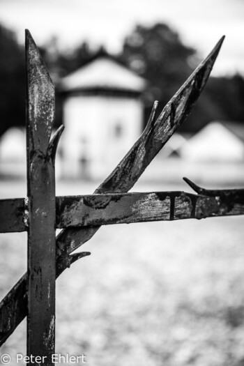 Wachposten  Dachau Bayern Deutschland by Peter Ehlert in Nie wieder - plus jamais - never again