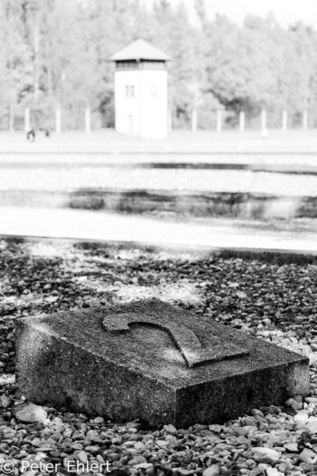 Block2  Dachau Bayern Deutschland by Peter Ehlert in Nie wieder - plus jamais - never again