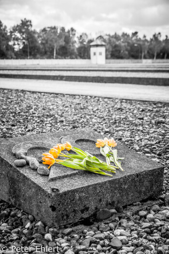 Block 29  Dachau Bayern Deutschland by Peter Ehlert in Nie wieder - plus jamais - never again