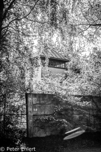 Wachturm  Dachau Bayern Deutschland by Peter Ehlert in Nie wieder - plus jamais - never again