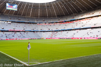 Im Stehplatzbereich  München Bayern Deutschland by Peter Ehlert in Allianz Arena