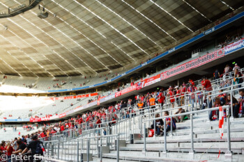 Im Stehplatzbereich  München Bayern Deutschland by Peter Ehlert in Allianz Arena