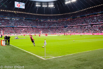 Aufwärmen  München Bayern Deutschland by Peter Ehlert in Allianz Arena