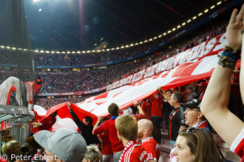 Spiel gegen Wolfsburg  München Bayern Deutschland by Peter Ehlert in Allianz Arena