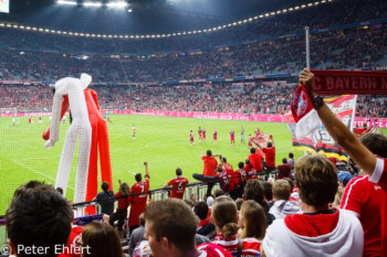 Torjubel  München Bayern Deutschland by Peter Ehlert in Allianz Arena