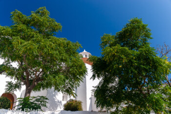 Bäume und Kirche  Santa Eularia des Riu Balearische Inseln - Ibiza Spanien by Peter Ehlert in Ibiza - Insel des Lichts