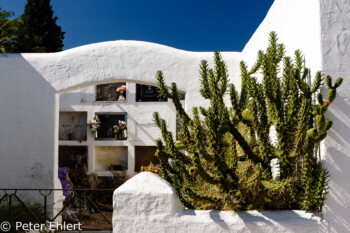 Friedhof St. Eularia  Santa Eularia des Riu Balearische Inseln - Ibiza Spanien by Peter Ehlert in Ibiza - Insel des Lichts