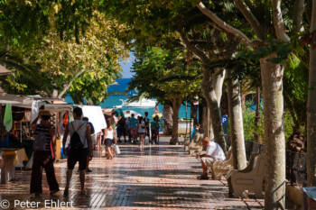 Weg zum Strand  Santa Eularia des Riu Balearische Inseln - Ibiza Spanien by Peter Ehlert in Ibiza - Insel des Lichts