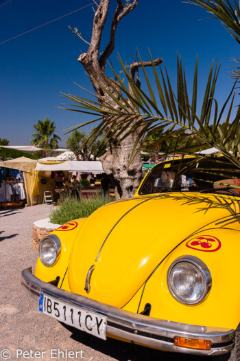 Pacha-Käfer vor dem Hippie Markt  San Carles Balearische Inseln - Ibiza Spanien by Peter Ehlert in Ibiza - Insel des Lichts