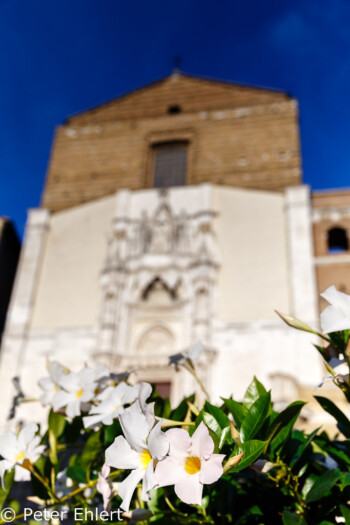 S. Francesco delle Scale   Ancona Marche Italien by Peter Ehlert in Italien - Marken