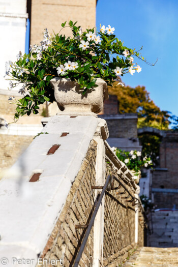 Treppe bei S. Francesco delle Scale   Ancona Marche Italien by Peter Ehlert in Italien - Marken
