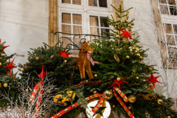 Pferd Hausdekoration  Strasbourg Grand Est Frankreich by Peter Ehlert in Weihnachtsmarkt 2017 Straßburg