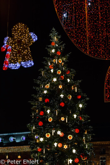 Weihnachtsbaum  Strasbourg Grand Est Frankreich by Peter Ehlert in Weihnachtsmarkt 2017 Straßburg