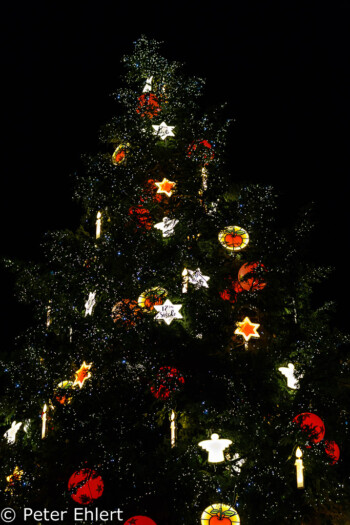 Weihnachtsbaum  Strasbourg Grand Est Frankreich by Peter Ehlert in Weihnachtsmarkt 2017 Straßburg