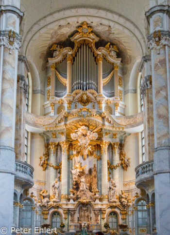 Orgel  Dresden Sachsen Deutschland by Peter Ehlert in Dresden Weekend