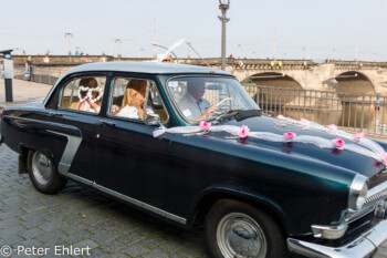 Hochzeitsauto  Dresden Sachsen Deutschland by Peter Ehlert in Dresden Weekend