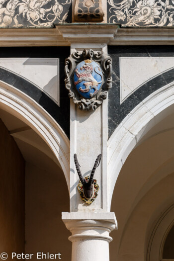 Wappen Langer Gang  Dresden Sachsen Deutschland by Peter Ehlert in Dresden Weekend