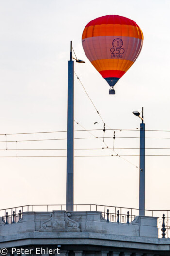 Ballon über der Stadt  Dresden Sachsen Deutschland by Peter Ehlert in Dresden Weekend