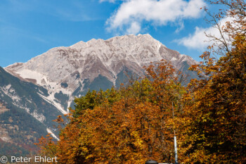 Herbstlaub mit Nordkette  Innsbruck Tirol Österreich by Peter Ehlert in Innsbruck im November