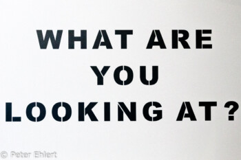 What are you looking at?  Amsterdam Noord-Holland Niederlande by Peter Ehlert in Banksy und Salvador Dali Ausstellung