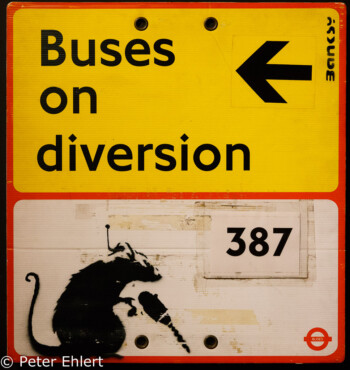 Rat on Bus Sign  Amsterdam Noord-Holland Niederlande by Peter Ehlert in Banksy und Salvador Dali Ausstellung