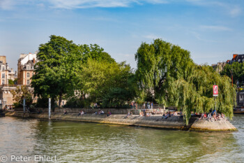 Spitze der Seineinsel Square du Vert-Galant  Paris Île-de-France Frankreich by Peter Ehlert in Paris Bateaux mouches