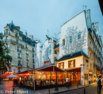 Bemalte Häuser am Place Saint-André des Arts  Paris Île-de-France Frankreich by Peter Ehlert in Paris, Eiffelturm und Quartier Latin