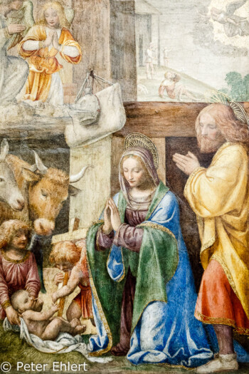 Bernardo Luini (1522) - La Nativite et l'Annonce aux bergers  Paris Île-de-France Frankreich by Peter Ehlert in Paris Louvre und Musée d’Orsay
