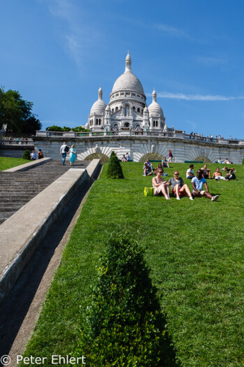 Treppe und Wiese vor Basilika Sacré-Cœur  Paris Île-de-France Frankreich by Peter Ehlert in Paris Montmatre