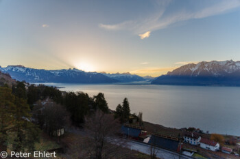 Genfer See mit Bergen am morgen  Chexbres Vaud Schweiz by Peter Ehlert in Wochenende am Genfer See