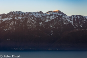 Genfer See mit Bergen am morgen  Chexbres Vaud Schweiz by Peter Ehlert in Wochenende am Genfer See