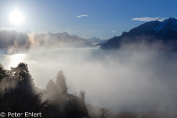 Genfer See mit Bergen am morgen  Chexbres Vaud Schweiz by Peter Ehlert in Wochenende am Genfer See