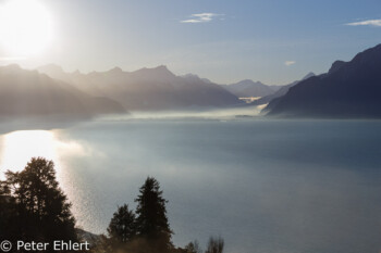 Genfer See mit Bergen am morgen  Chexbres Vaud Schweiz by Peter Ehlert in Wochenende am Genfer See