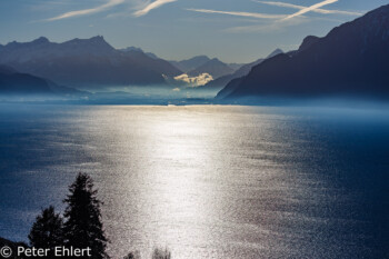 Genfer See mit Bergen am morgen  Chexbres Vaud Schweiz by Peter Ehlert in Wochenende am Genfer See