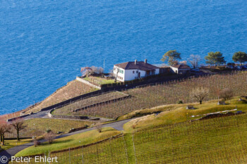 Haus mit Genfer See  Chexbres Vaud Schweiz by Peter Ehlert in Wochenende am Genfer See