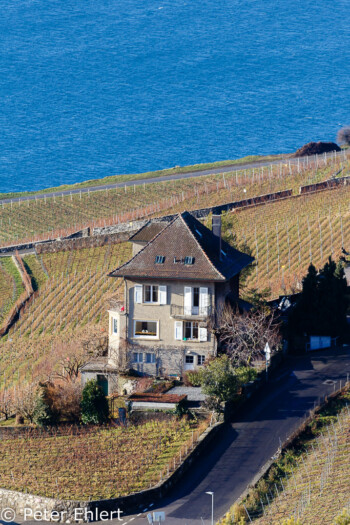 Haus mit Genfer See  Chexbres Vaud Schweiz by Peter Ehlert in Wochenende am Genfer See
