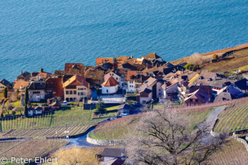 Ortschaft mit Genfer See  Chexbres Vaud Schweiz by Peter Ehlert in Wochenende am Genfer See