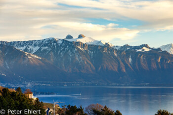Genfer See mit Bergen am Abend  Chexbres Vaud Schweiz by Peter Ehlert in Wochenende am Genfer See